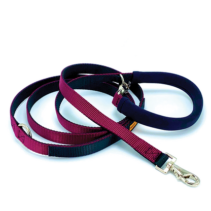 The Cruiser | Multi-Functional Leash