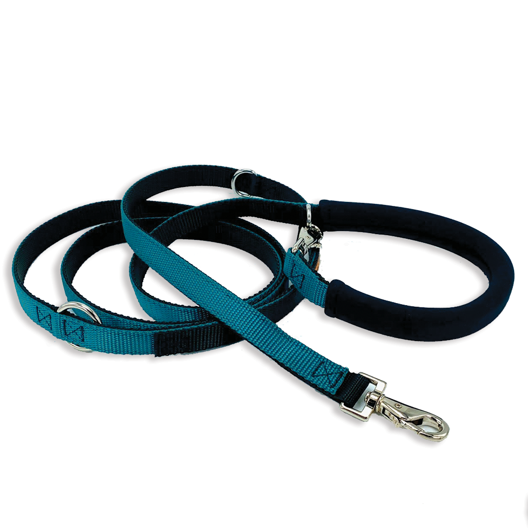 The Cruiser | Multi-Functional Leash