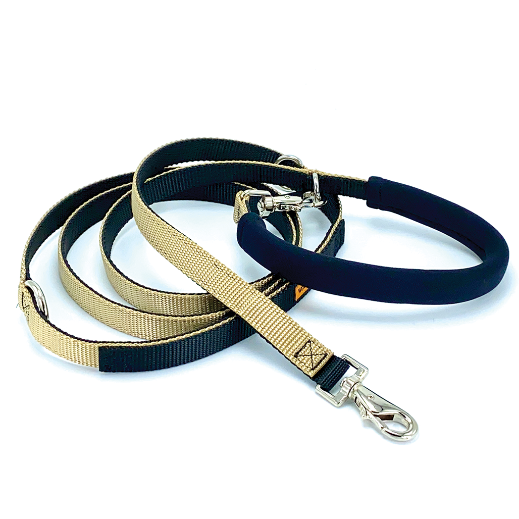 The Cruiser | Multi-Functional Leash