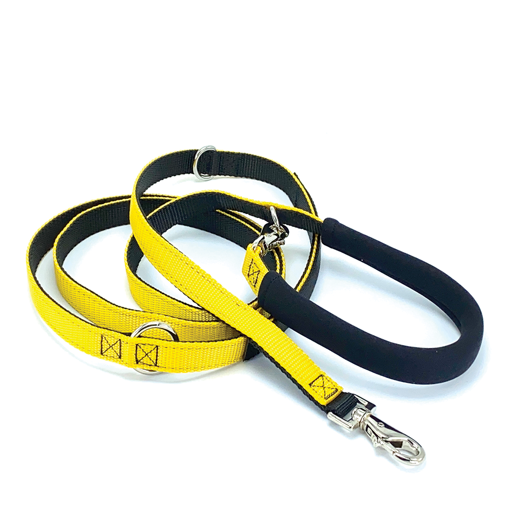 The Cruiser | Multi-Functional Leash