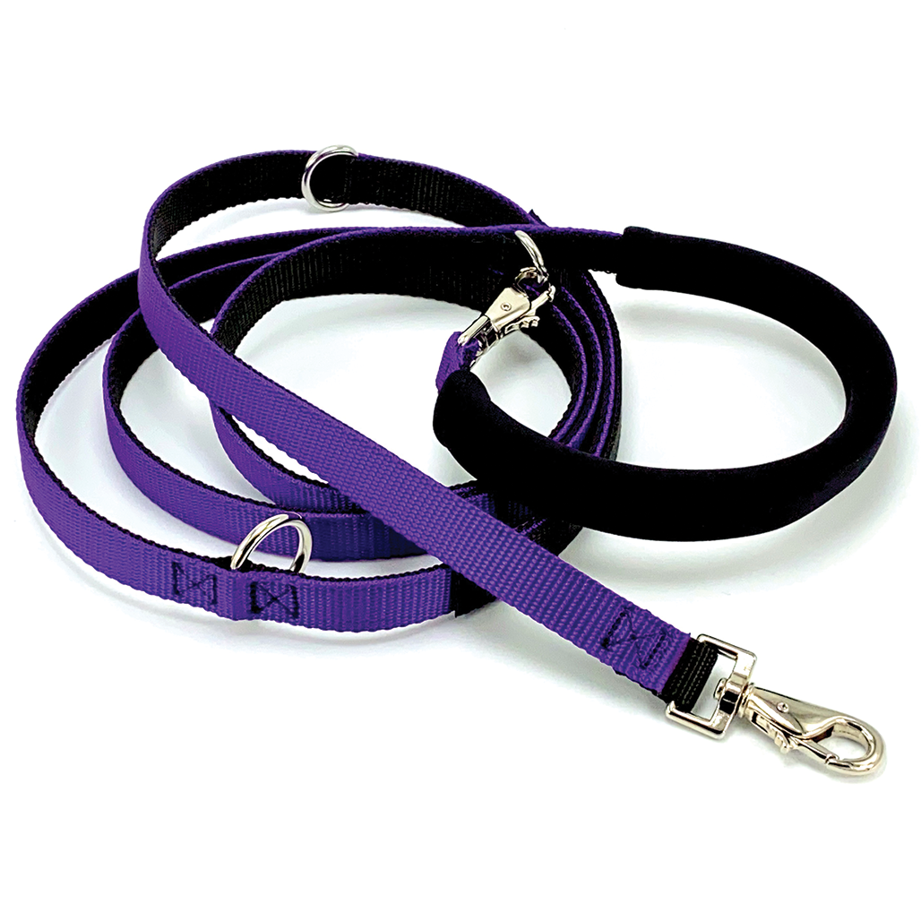 The Cruiser | Multi-Functional Leash