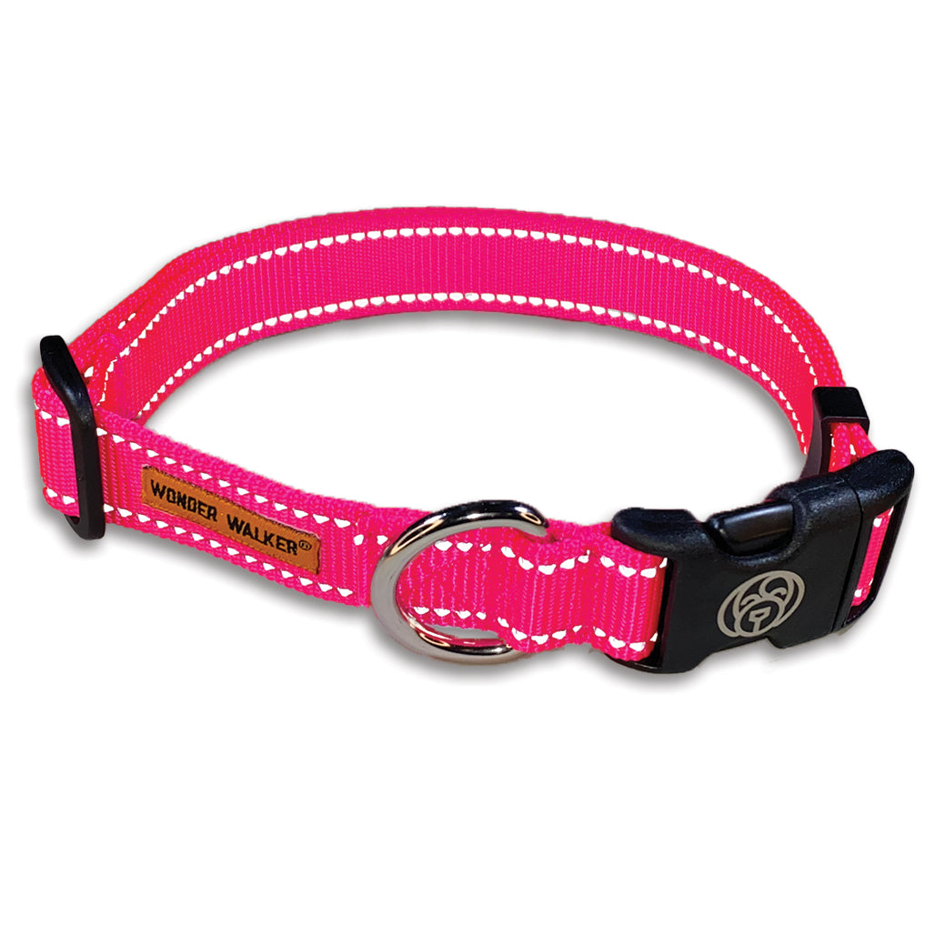 Collars - Flash Reflective – Wonder Walker & Co.