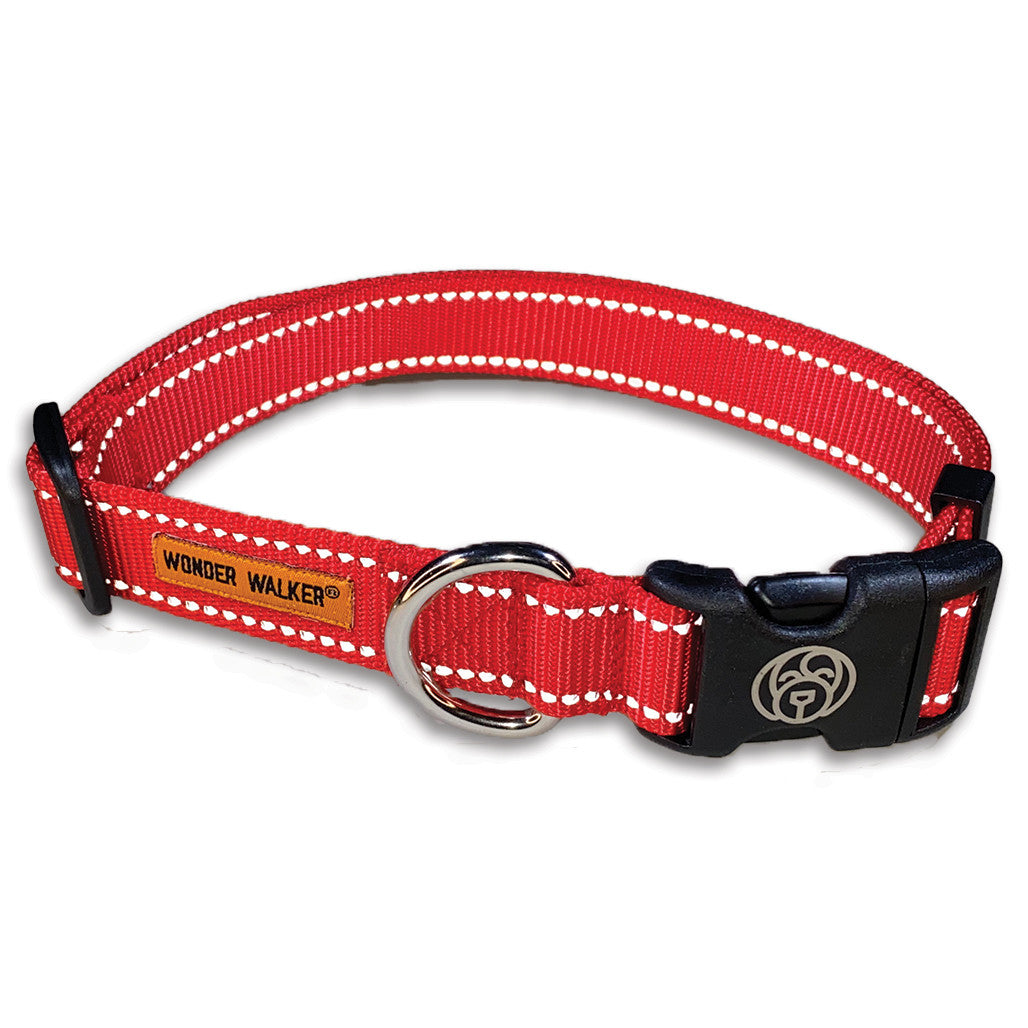 Collars - Flash Reflective – Wonder Walker & Co.