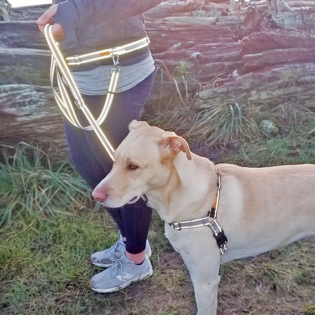 The Hipster Walking/Jogging Belt and Leash