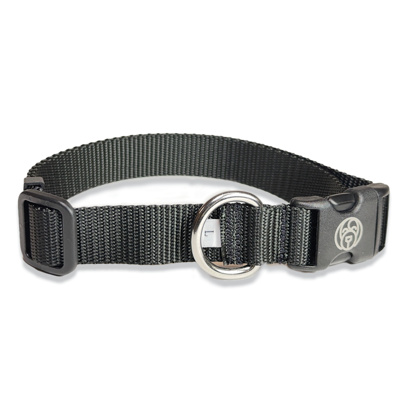 Black adjustable dog collar with a metal ring and plastic buckle.