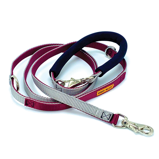 Cruiser Leash - Customized