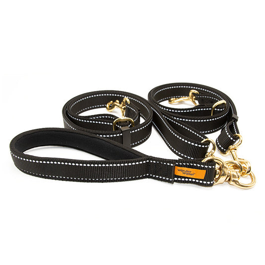 Double Swivel Leash